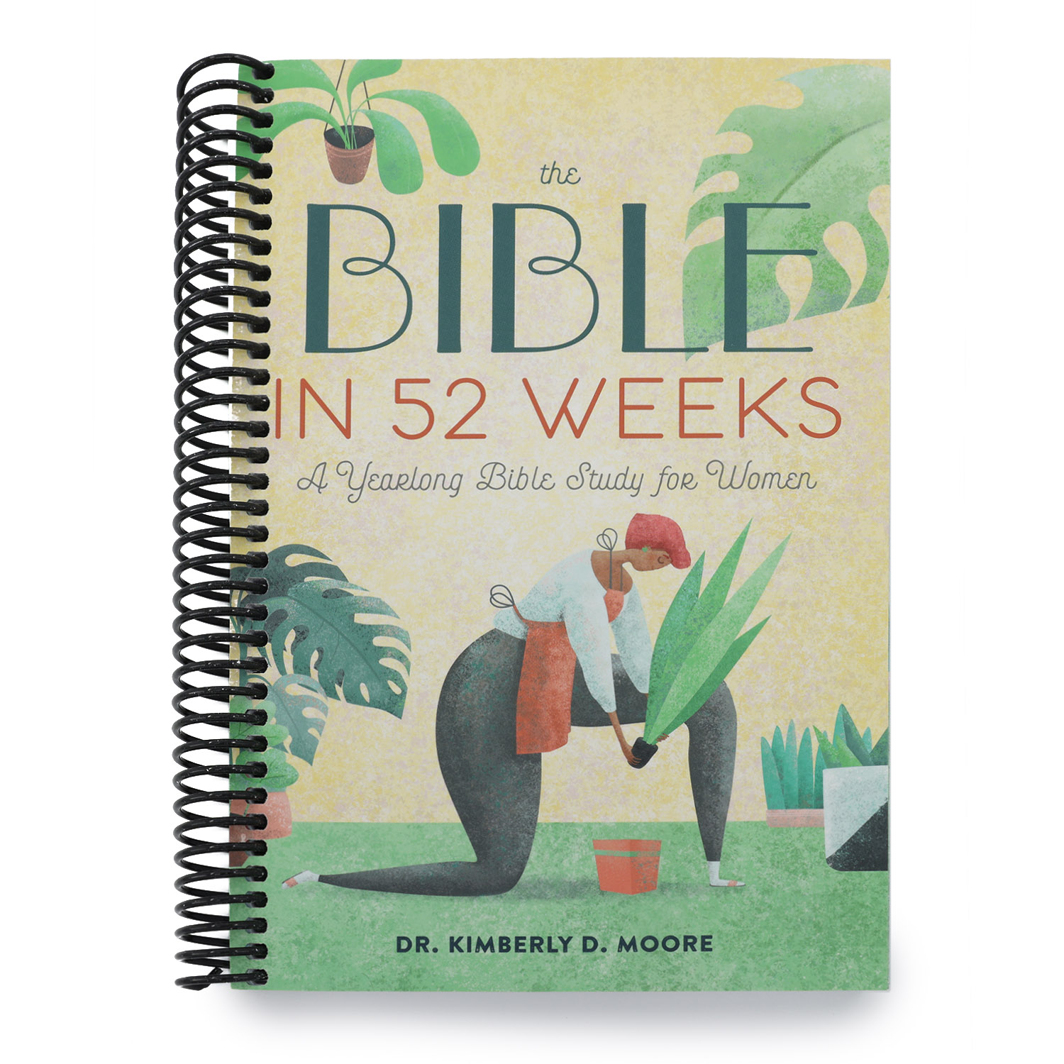 The Bible in 52 Weeks: A Yearlong Bible Study for Women (Bible in 52 W ...